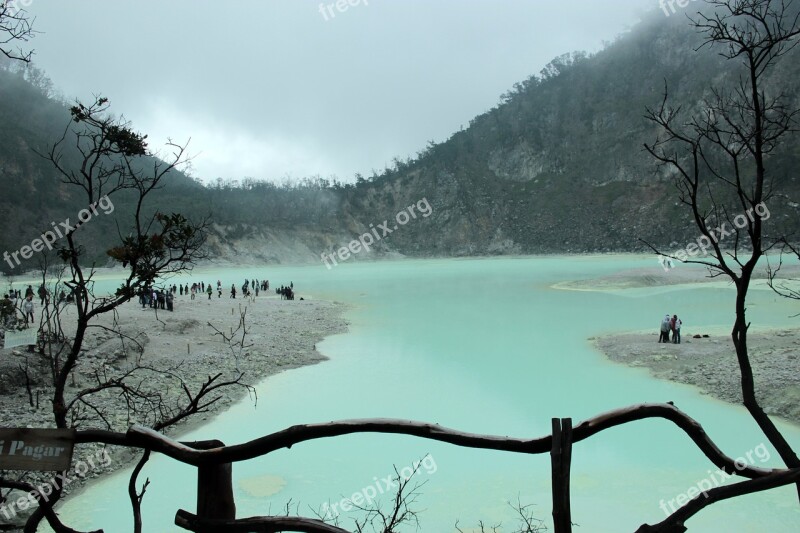 White Crater Ciwedey Bandung Indonesia Dead Tree