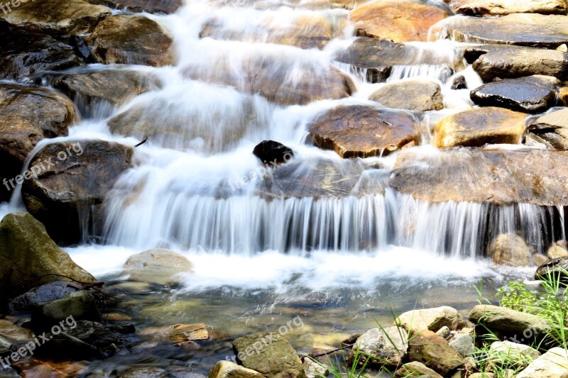 Creek The Creek Nature Water Streams