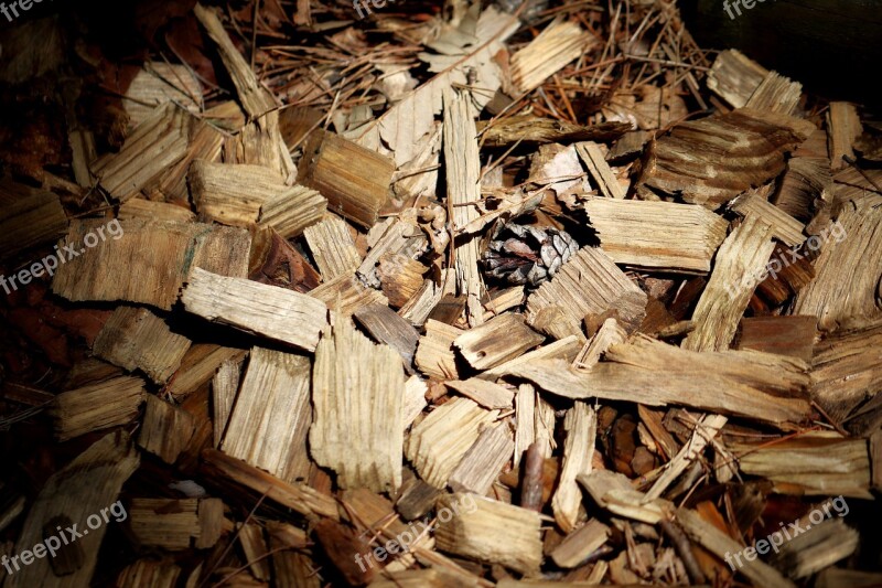 Wood Floor Wood Carvings Shade Nature