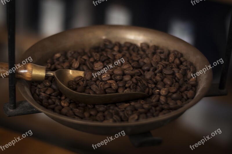 Coffee Horizontal Shell Pan Spoon