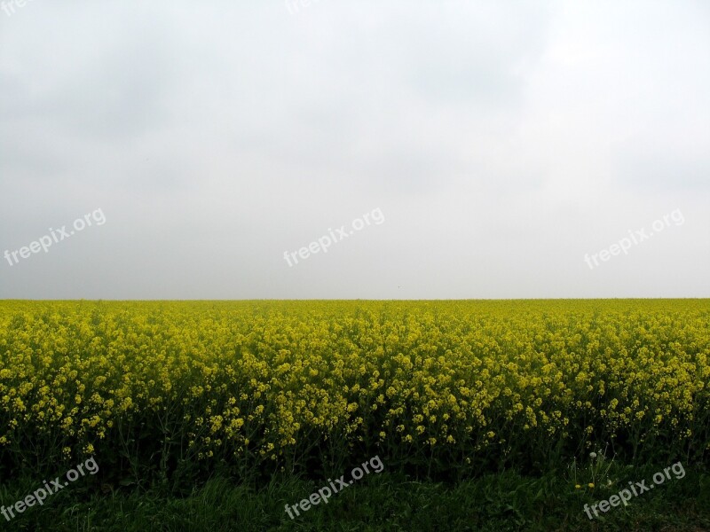 Walloon Misty Spring Free Photos