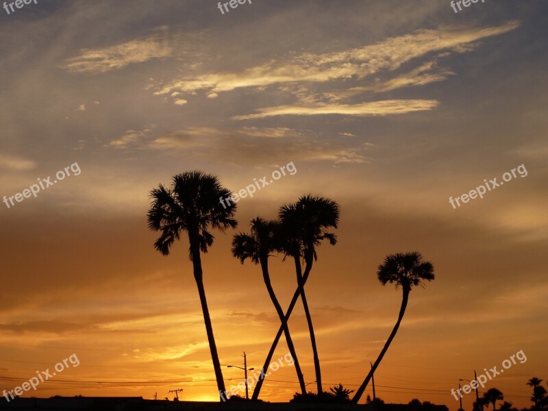 Sunset Palm Trees Sun Romance Abendstimmung