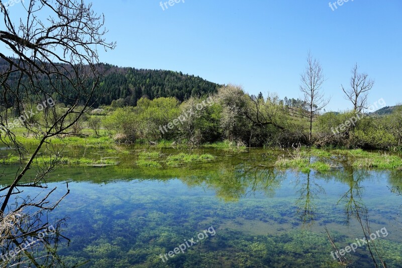 Danube River Germany Nature Landscape