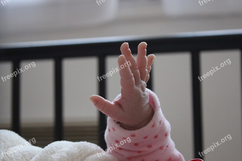 Main Bébé Baby's Hand France Free Photos