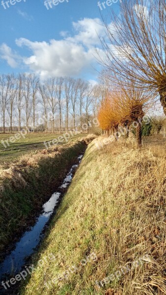 Ditch Clouds Willow Free Photos