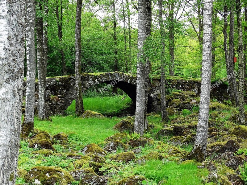 Landscapes Greenery Stone Bridge Summer Halland