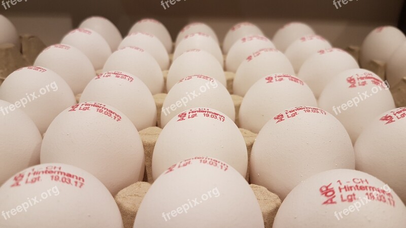 Egg Egg Carton Eat Food Free Photos