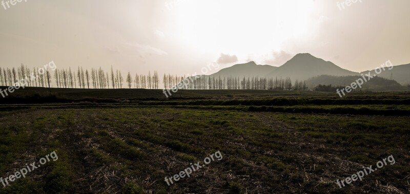 Moganshan Tree Highway Free Photos