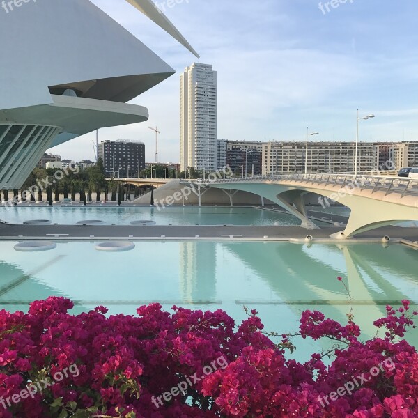 Architecture Calatrava Valencia Spain Free Photos