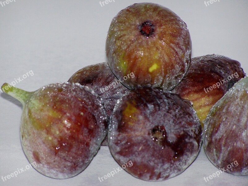 Fig Fruit Power Functional Free Photos