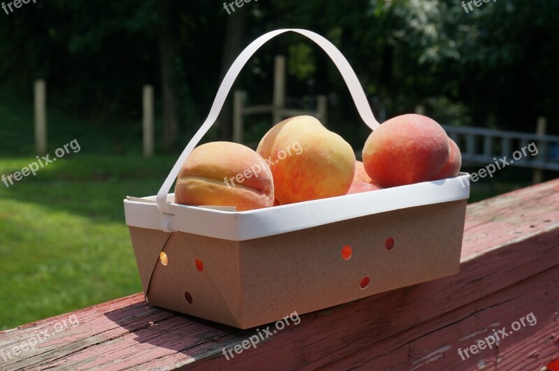 Peach Fruit Basket Food Healthy