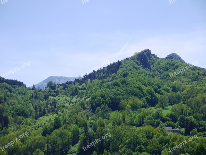 Landscape Forest Mountain Tree Summer