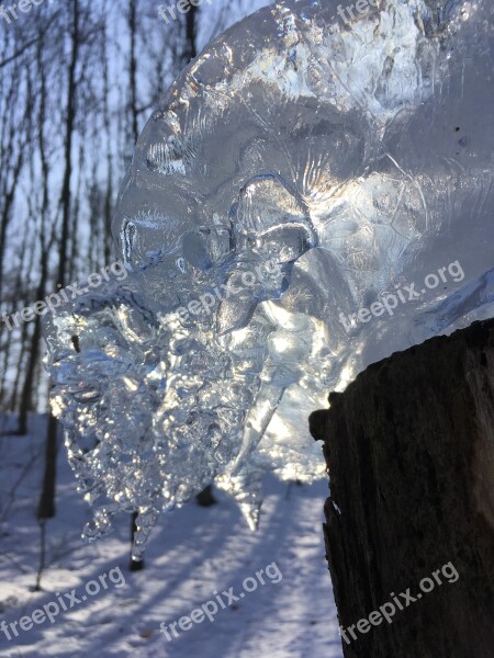 Ice Winter Icicle Snow Wintry