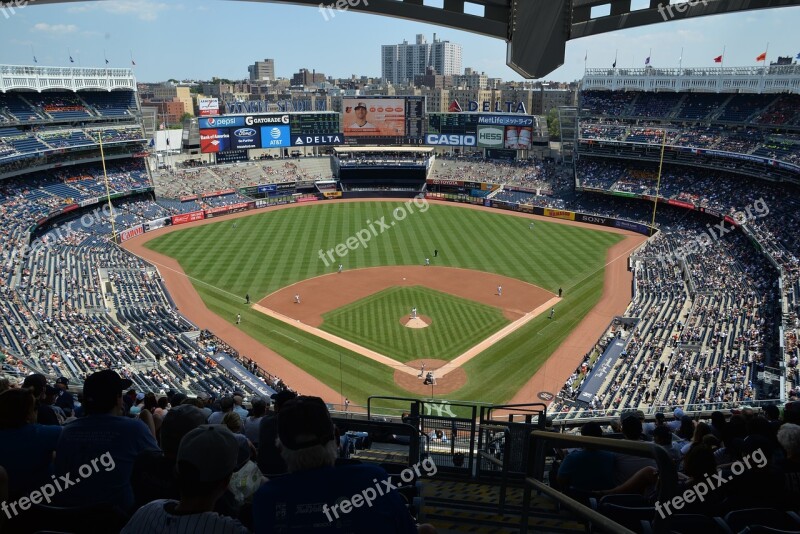 Baseball New York Sun-kiss Yankees Mlb Free Photos