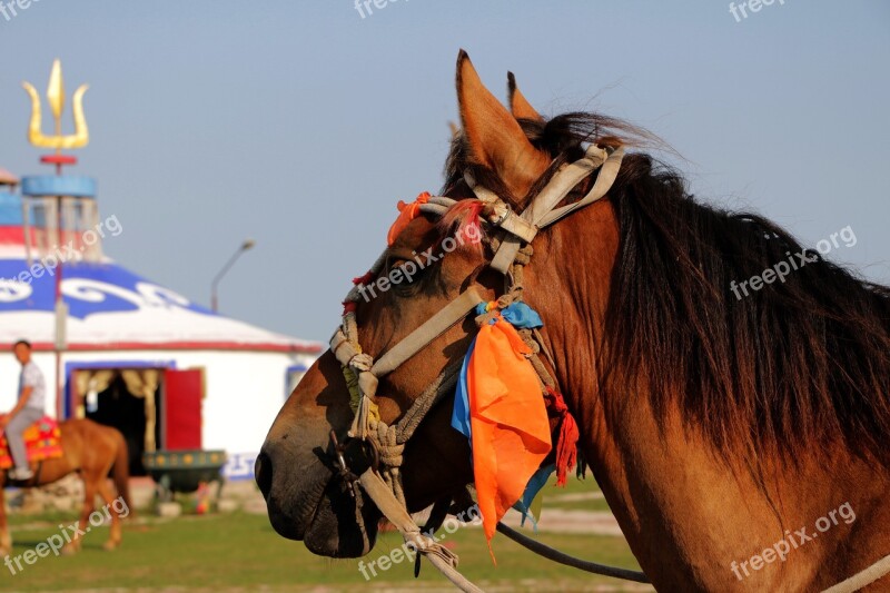 Prairie Horse Yurts Free Photos