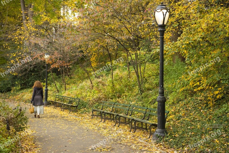 Central Park Nyc Woman America Central Park New York