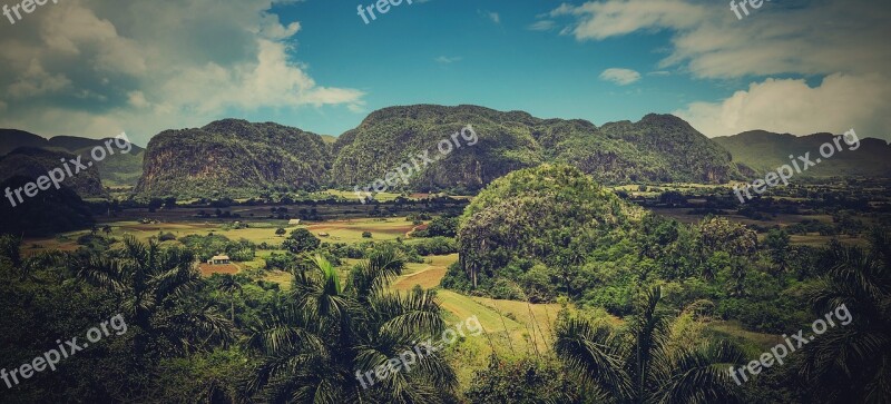 Cuba Country Nature Green Trees