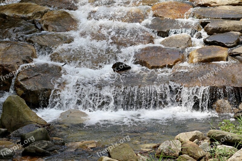 Nature Forest The Creek Water Landscape