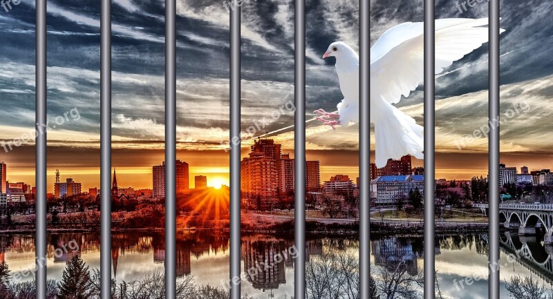 Prison Dove Of Peace City Sunset Free Photos