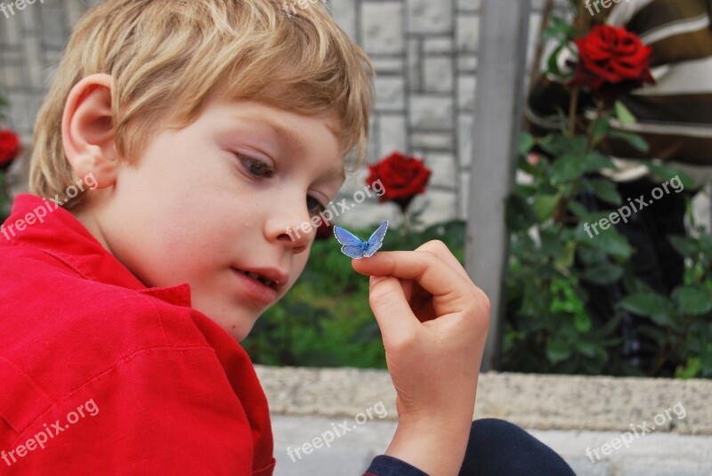 Boy Butterfly Hand Finger Watching