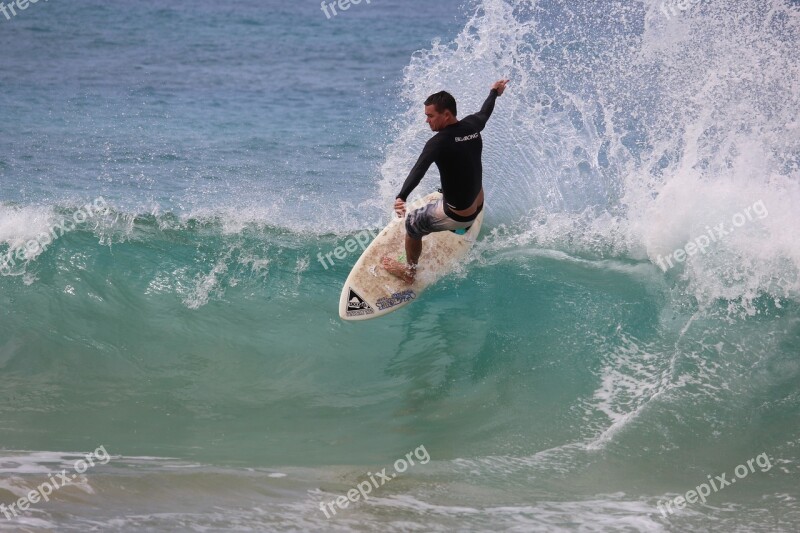 Surfer Maui Sea Hawaii Free Photos