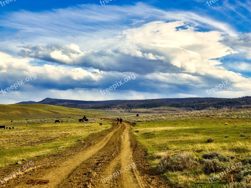 Wyoming Landscape Sky Clouds Cattle