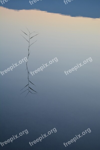 Water Lake Nature Landscape Reflection