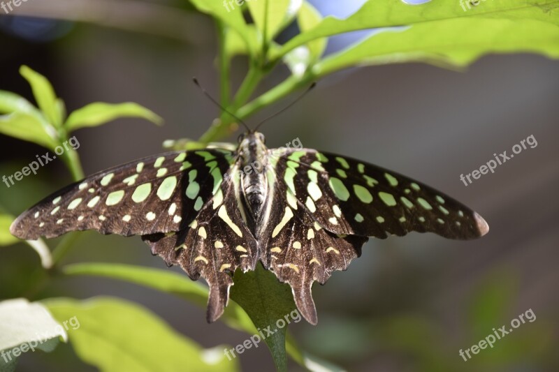 Bangalore Summer Monsoon Free Photos