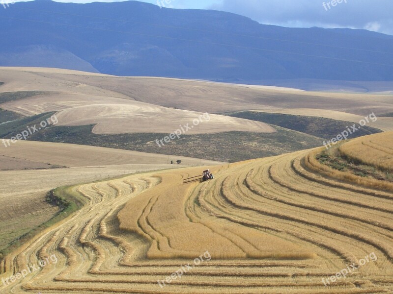 South Africa Harvest Garden Route Tractor Farm