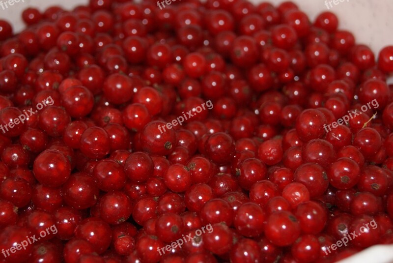 Currant Red Currant Fruit Red Jam