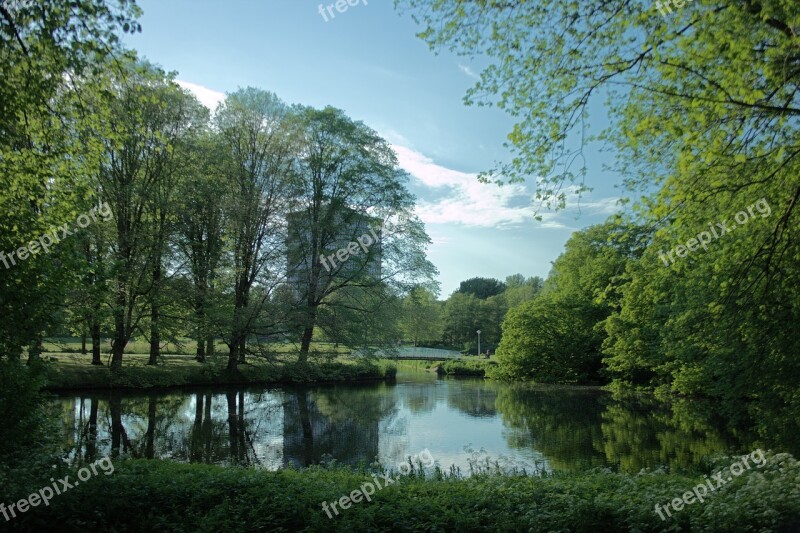 Nature Tree Water Landscape The Silence