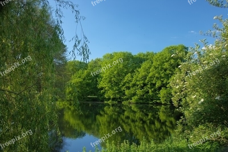 Nature Tree Landscape Water Foliage