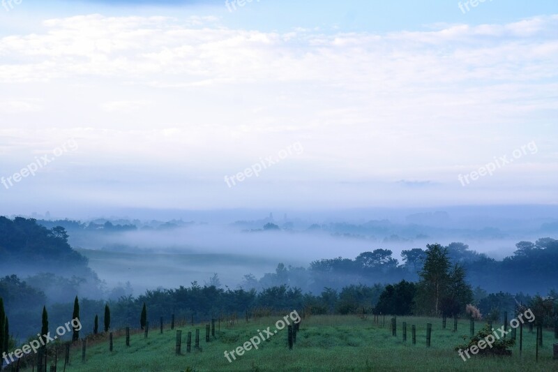 Dawn Morgenstimmung Fog Landscape Bushes