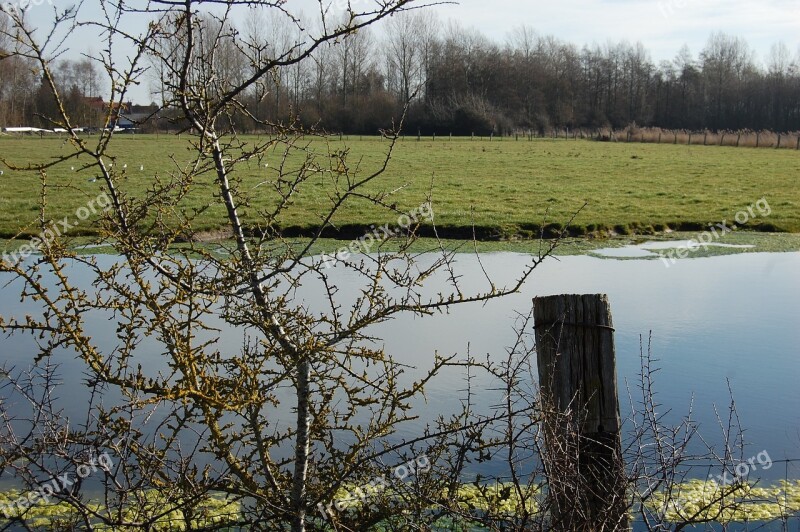 Field Nature Pond Shrub Hedge