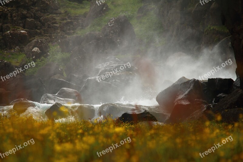 Water Mist Waterfall Flower Meadow Iceland Spring