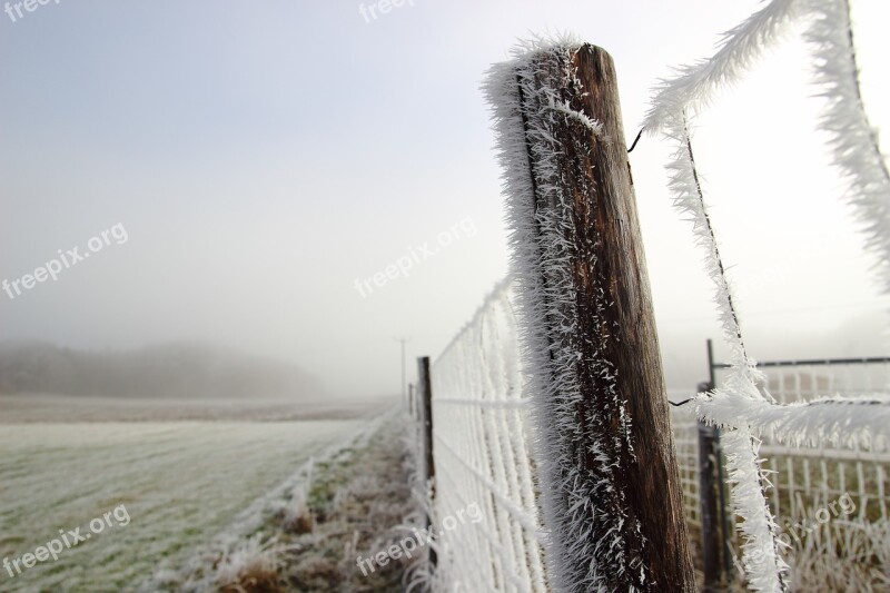 Winter Ice Cold Frost Crystals