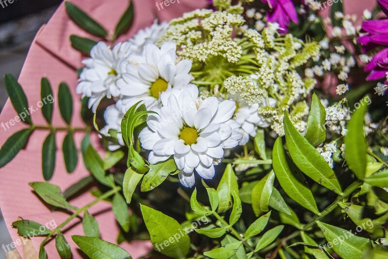 Bouquet Plant Decoration Petals Beautiful