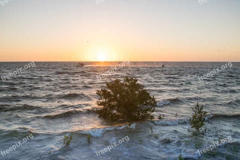 Sunset Lone Tree Waves Boat Nature