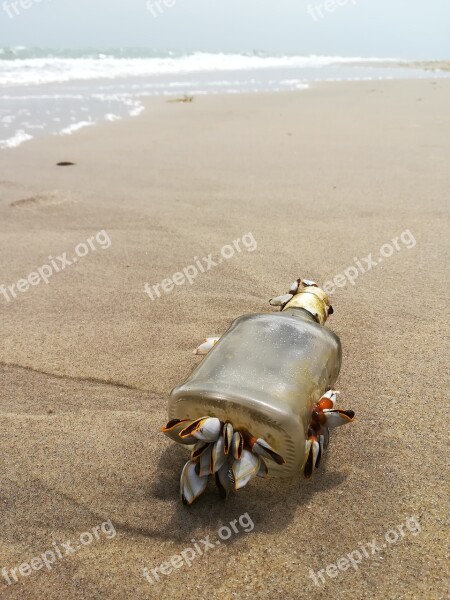 Greeting Sea A Bottle Of Peace Sand