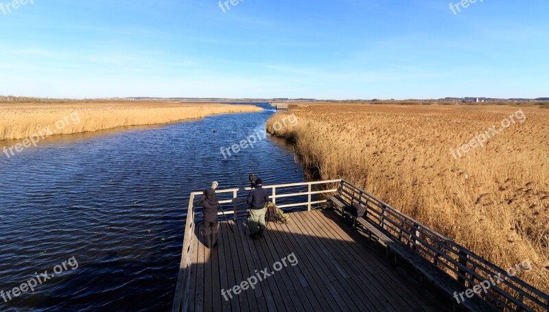 Spring Lake Nature Conservation Landscape Lake Reed