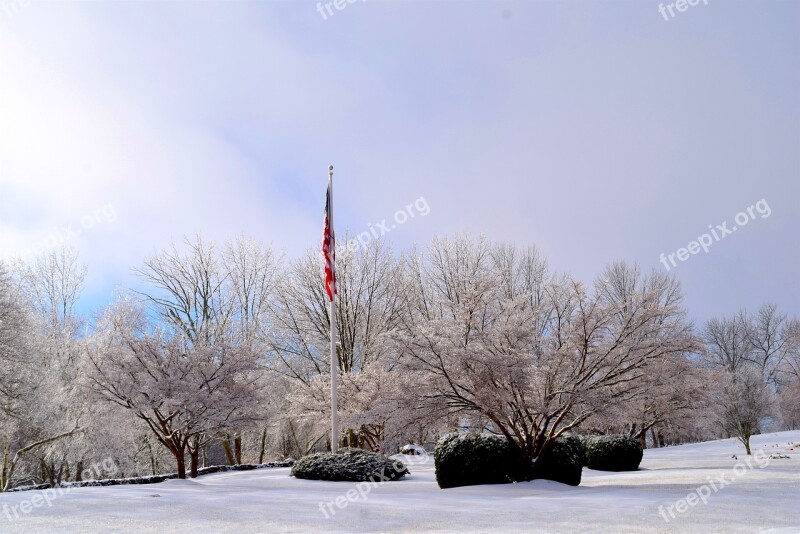 Snow Winter Frost Park Trees