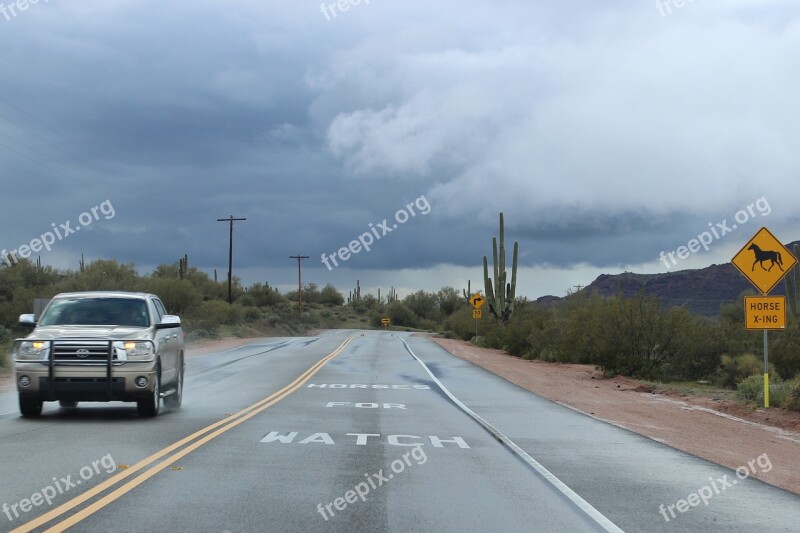 Desert Saguaro Cactus Weather Landscape