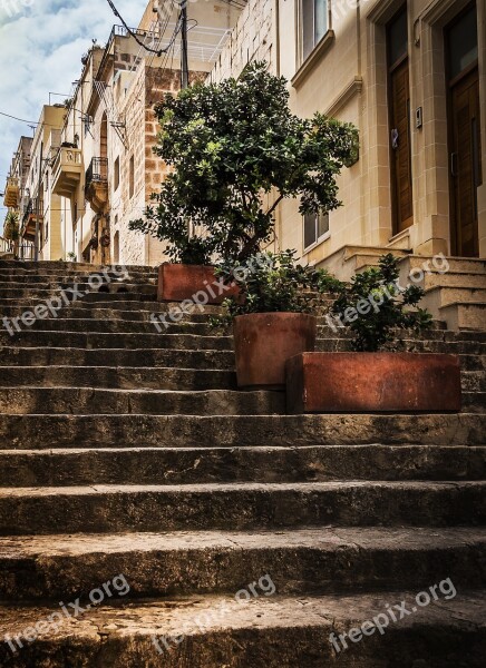 Stone Steps Street View Olive Trees Planters Perspective