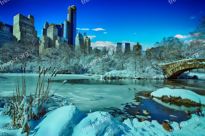 New York Central Park Winter Manhattan Skyline