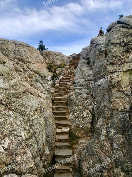 Black Hills National Forest Black Hills South Dakota Usa Stone