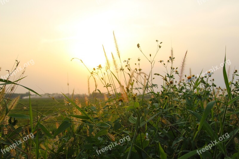 Sunset Sky Sunrise Landscape Sun