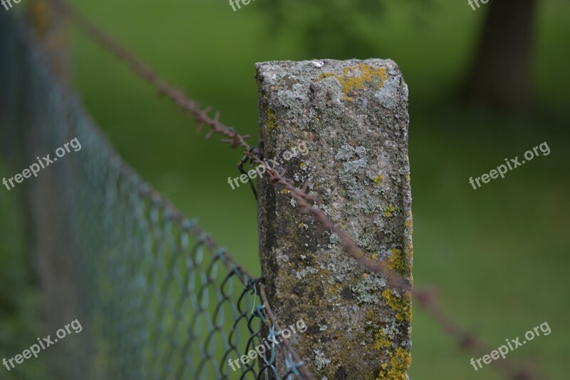 Fence Post Barbed Wire Demarcation Weathered Old