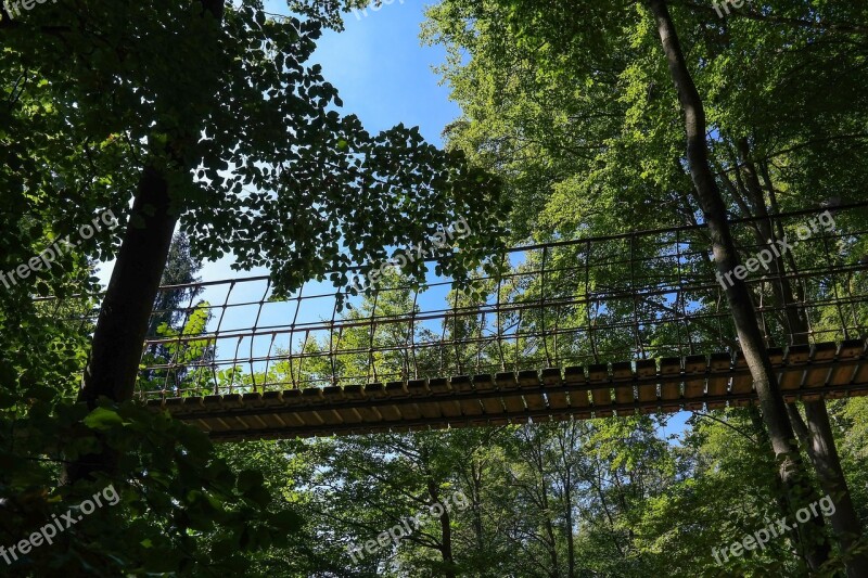 Suspension Bridge Forest Trees Nature Free Photos