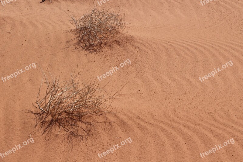 Desert Sand Dry Dunes Traces