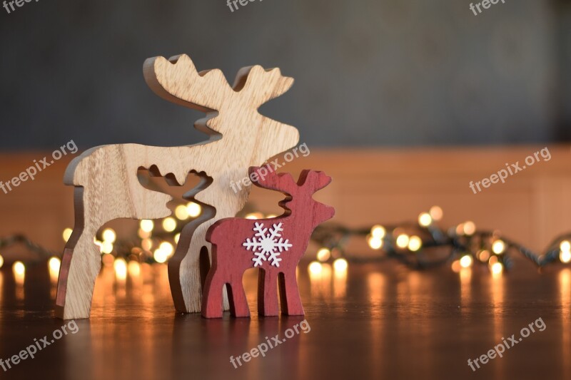 Christmas Christmas Atmosphere Deer Lights Christmas Card